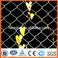 PVC revestido / quente mergulhado galvanizado Chain Link Fence (fabricação direta)